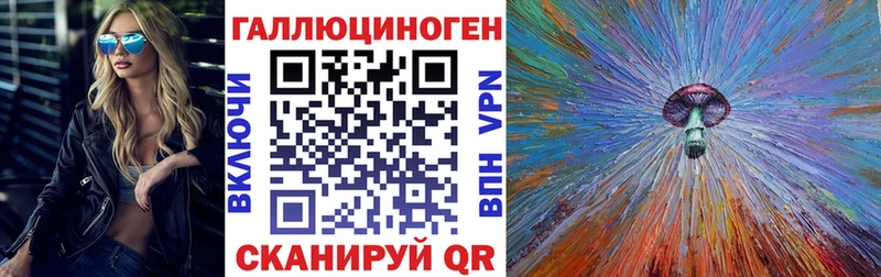купить наркотик  Ростов  Галлюциногенные грибы Psilocybine cubensis 